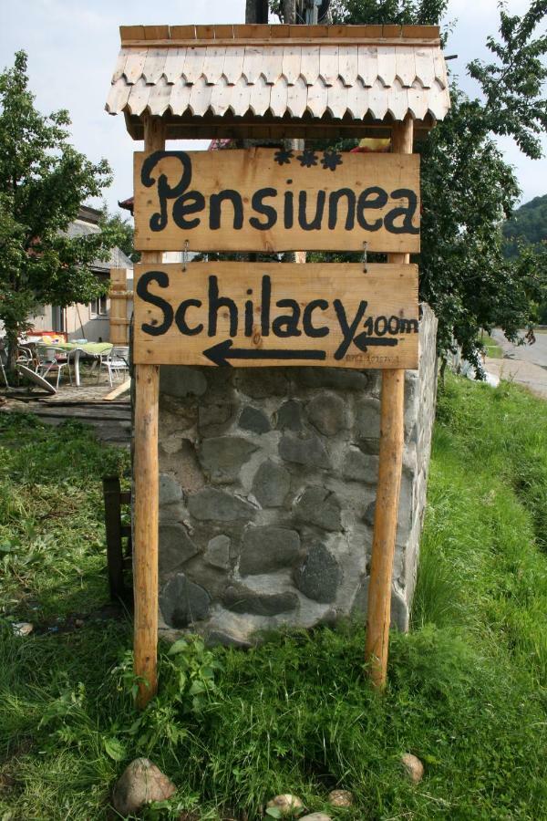 Pensiunea Schilacy Grosii Tiblesului Exterior foto